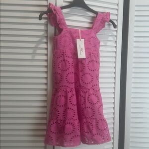 Vineyard Vines Fuchsia Eyelet Dress